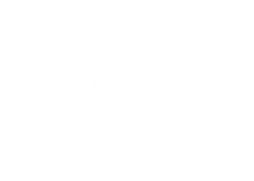 novus
