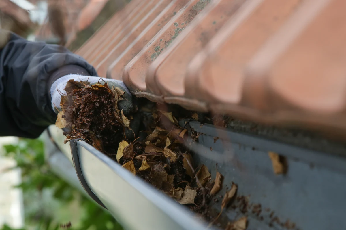 Gutter clearance maintenance 1