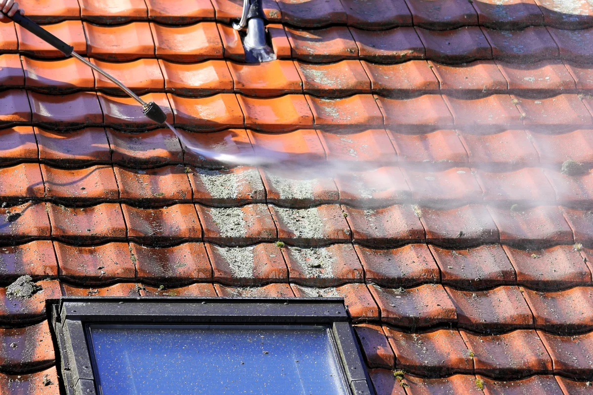 Roof cleaning 1